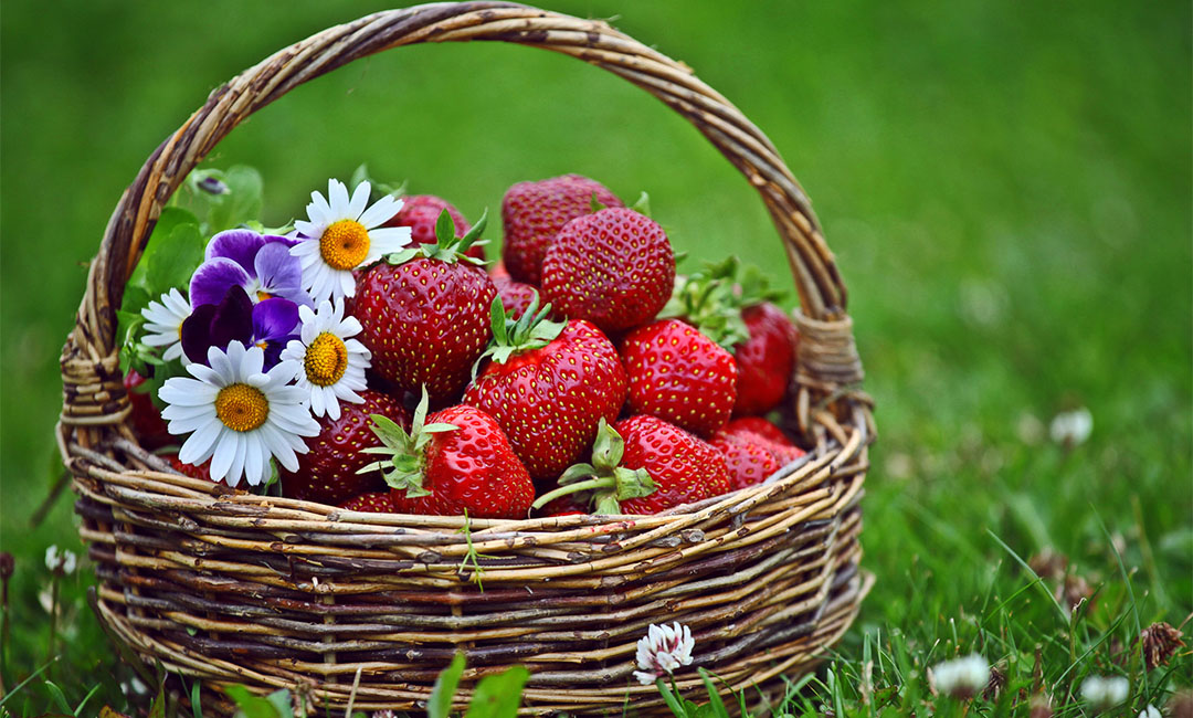 顺义点呀点水果电商APP开发案例